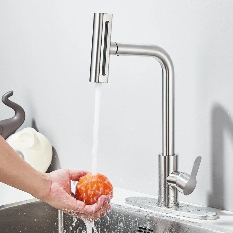 Robinet d'évier de cuisine en nickel brossé avec douchette extractible