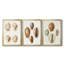 Lamarck Shells I - Toile tendue avec châssis sur mesure - 3 pièces-2142828776-2142828777