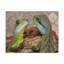 No Frame Print on Canvas