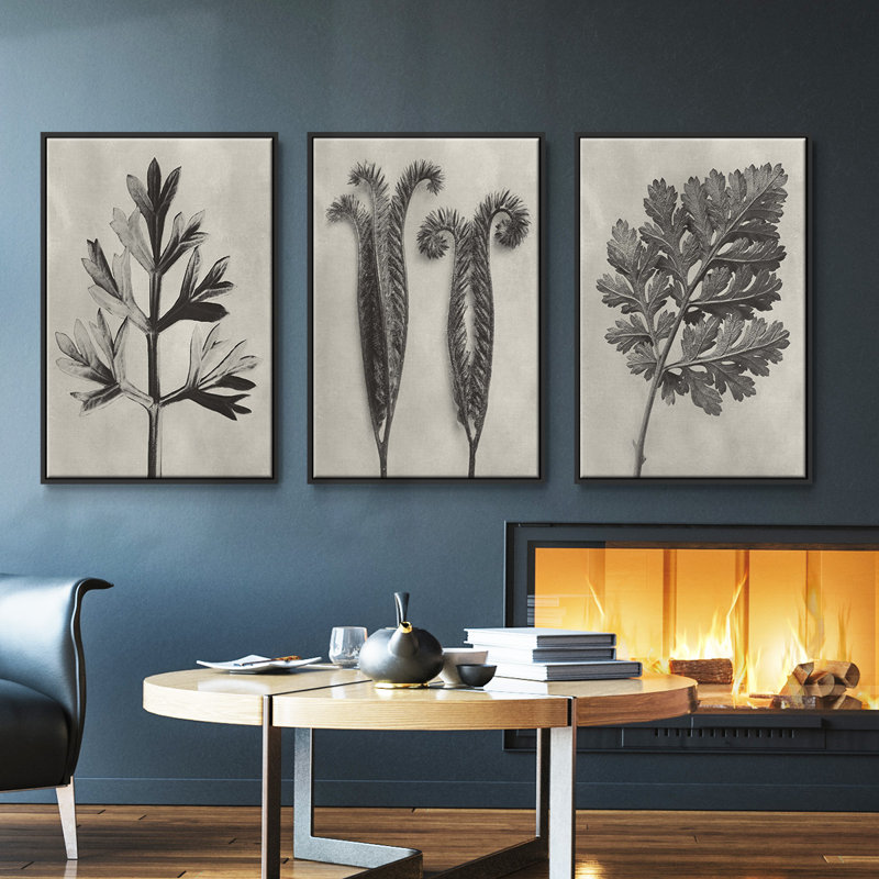Blossfeldt Botanical I 3 pièces, H 36 po x l 72 po, Noir