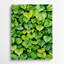 Aquarelle botanique, art mural vert en métal 72-574384342