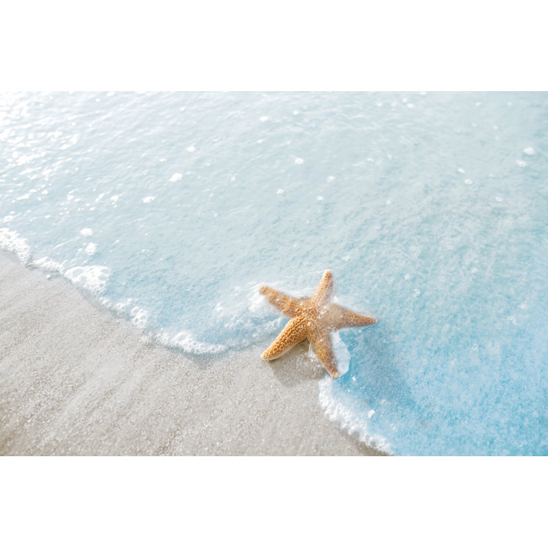 Starfish On The Beach by FangXiaNuo - Wrapped Canvas Print, 51cm H x 76cm W x 3.8cm D