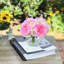 Silk Mixed Arrangement in Vase-1097297389