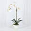 Orchid Faux Floral in Vase-1870534634-1870534635