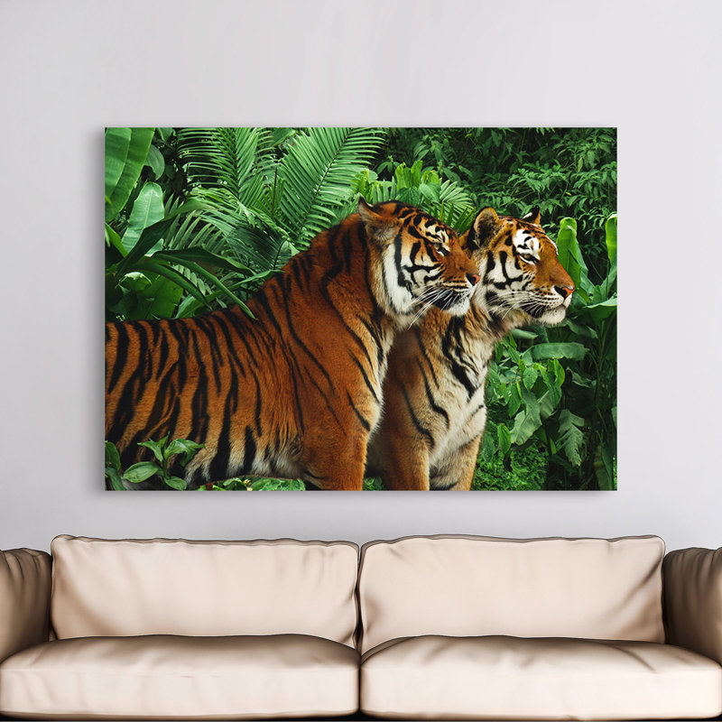 Two Bengal Tigers - Wrapped Canvas Print, 60cm H x 80cm W x 4cm D