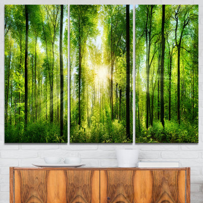 " Forest With Rays Of Sun Panorama " by Designart 3 - Pieces