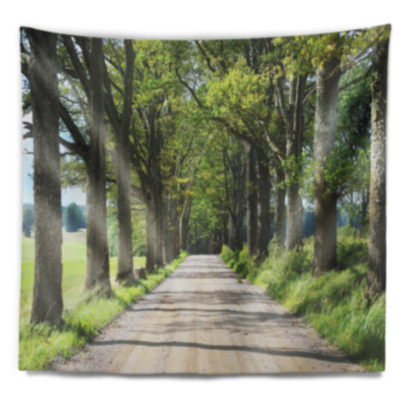 Tapisserie Old Road Through Alley, H 78 po x l 92 po