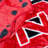 NCAA Knitted Throw Blanket-25193637