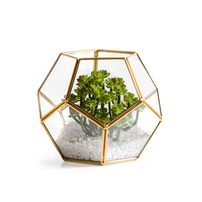 Photophore central en verre 6 po