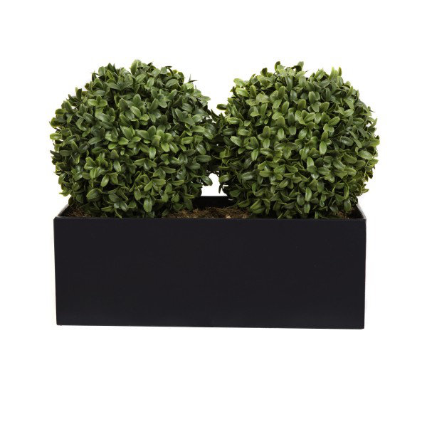 50.8cm Plant