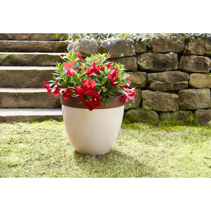 Hornsby Outdoor Pot Planter, Beige