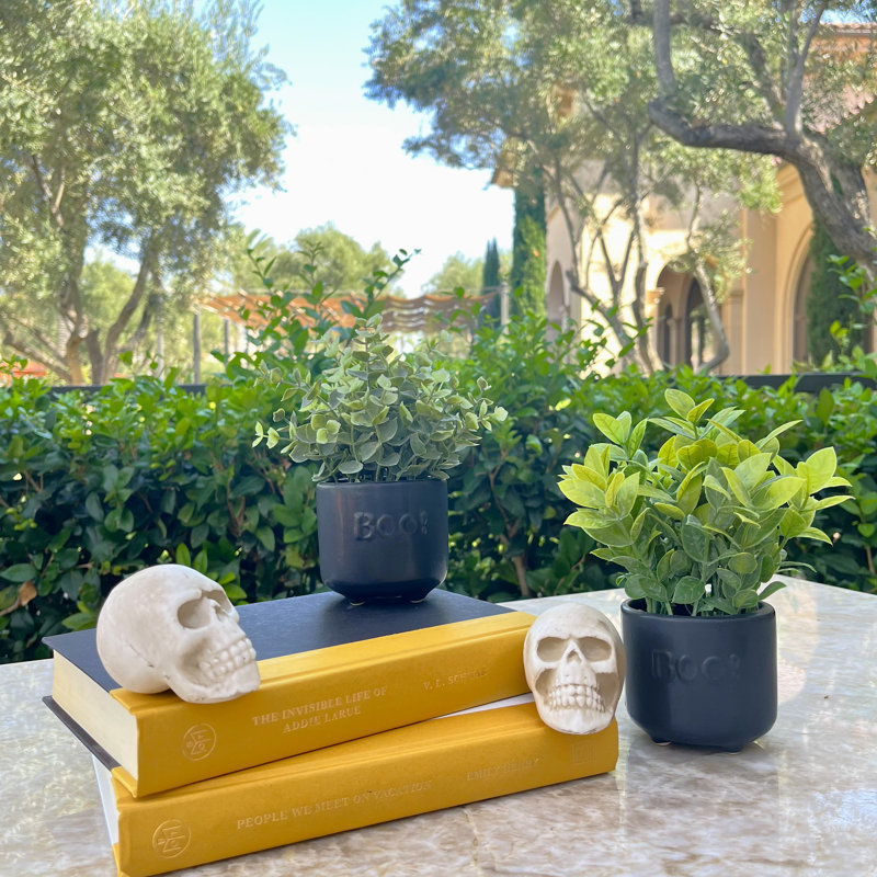 Halloween Decorative Accent