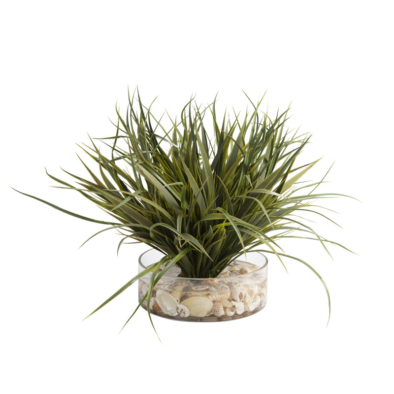 Herbe avec des coquillages dans un vase en verre