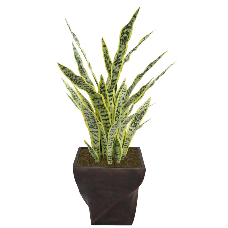 45.50'' Faux Agave Tree in Fiberstone Planter
