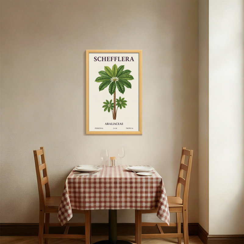 Plantes et fleurs, plante Schefflera, reproduction d'art botanique