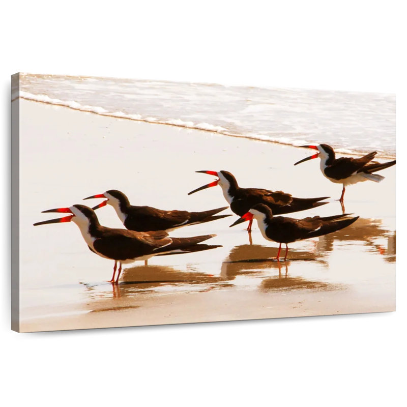 A Few Skimmers II, 30" H x 45" W