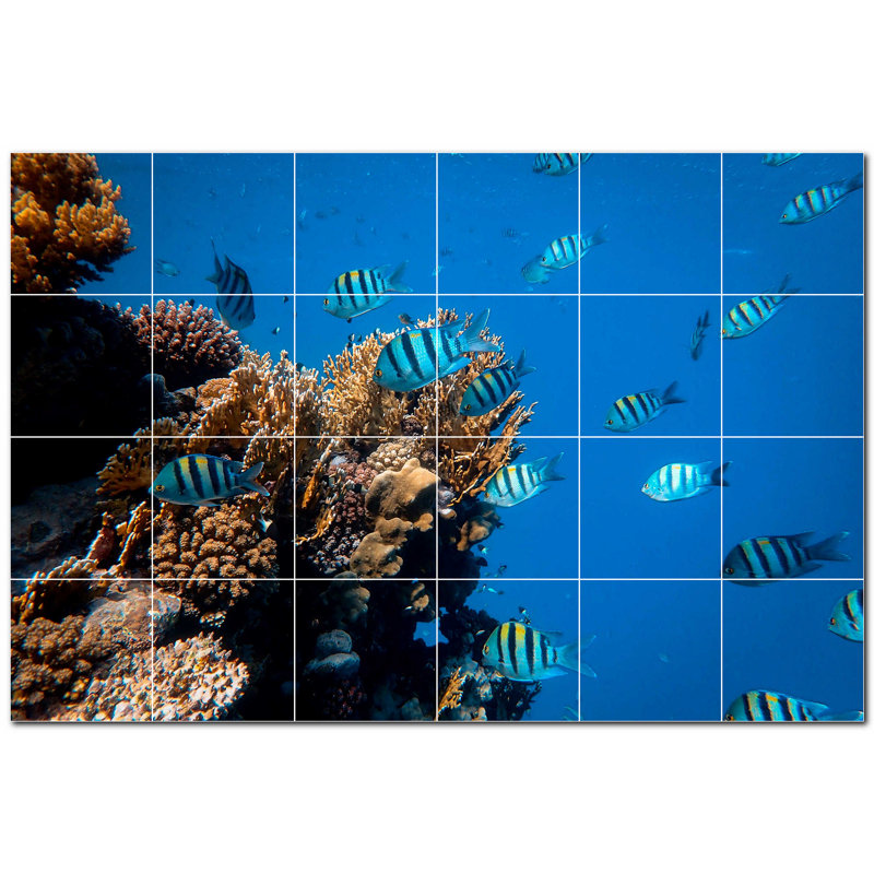 Corail photo 12 x 12