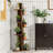 Eliades Bookcase-1173629716