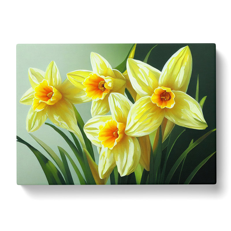 Pretty Daffodil Flowers - Wrapped Canvas, 50cm H x 76cm W x 3cm D