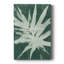«Water Palm Fossil I» - galerie sur mesure Cavas-117769427