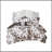 Full/Queen Floral Print Comforter Set