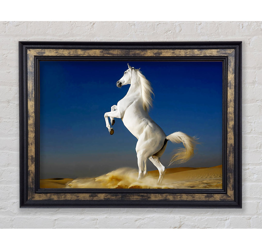 White Horse Stance - Einzelner Bilderrahmen Kunstdrucke