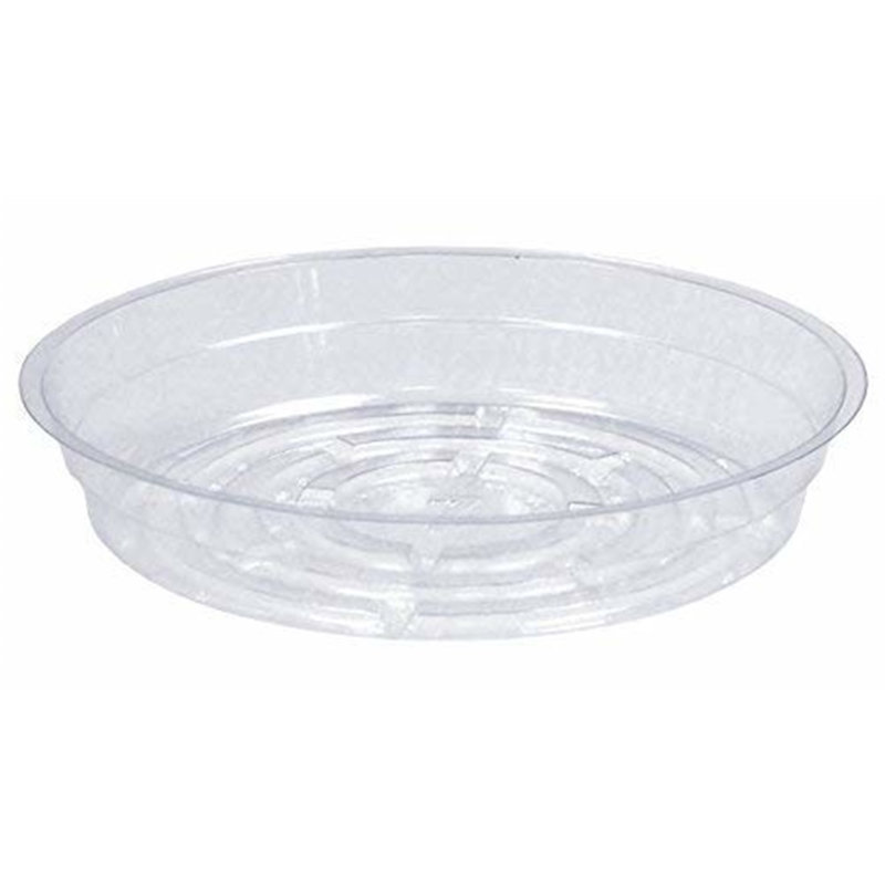 Cattalina Saucer Plant Stand