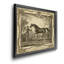 Distinguished Horses IV - reproduction d'art sur toile encadrée-1946686339-1946686340