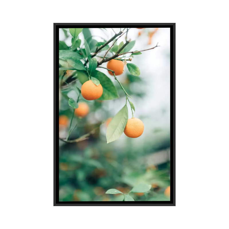 « orange tree » sur toile, H 26 po x l 18 po x P 1,5 po, Toile avec cadre noir, Pas de tapis