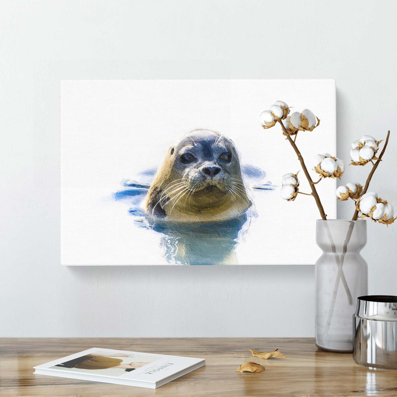 Grey Seal - Wrapped Canvas, 35cm H x 50cm W x 3cm D