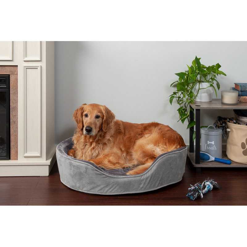 Plush & Velvet Oval Dog Bed, Extra Large (30" W x 27" D x 6" H), Smoke Gray