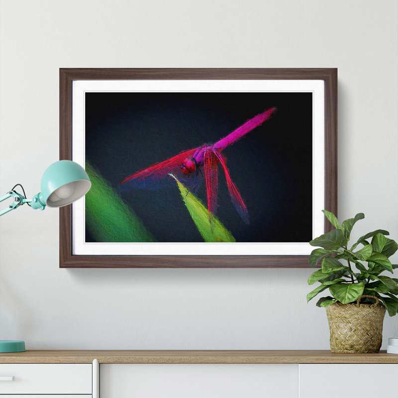 Dragonfly - Picture Frame Painting Print, 27cm H x 36cm W x 2cm D, Walnut Framed
