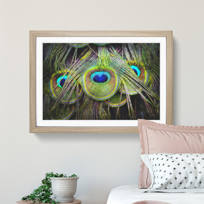 Peacock Feathers - Picture Frame Graphic Art Print, Oak, 62cm H x 87cm W x 2cm D
