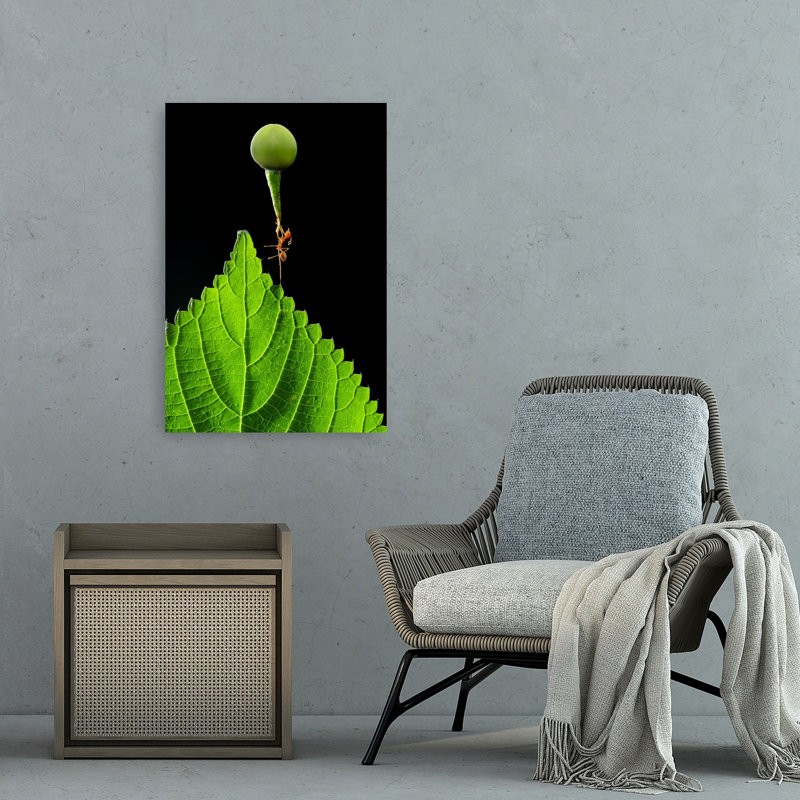 Ant Carrying Green Berry Abstract Contemporary Ant Fruit Nature Wall Art Print 1 Piece Wrapped Canvas Wall Art
