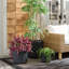 Ensemble de 3 pots à fleurs Carolina-963117403