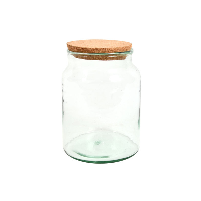 Half Open Terrarium Bottle, 26.3 cm H x 18.5 cm W x 18.5 cm D