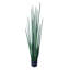 Kentia Palm Tree with Pot-2144567597