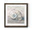 Blue Shell Study III-impression de cadre photo sur papier-145096537-145096512