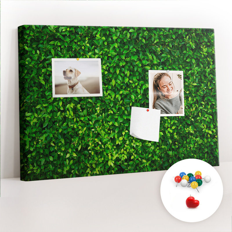 Antha Cork Corkboard / Bulletin Board