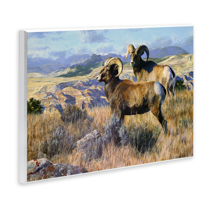  «Wild Rams Torrey Canyon» par Mark Kelso, H 13 po x l 19 po