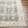 Delyse Oriental Machine Made Power Loomed Polyester Area Rug in Olive/Gold/Beige/Gray