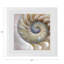 Nautilus Pearl Cotton Sateen Dinner Napkins