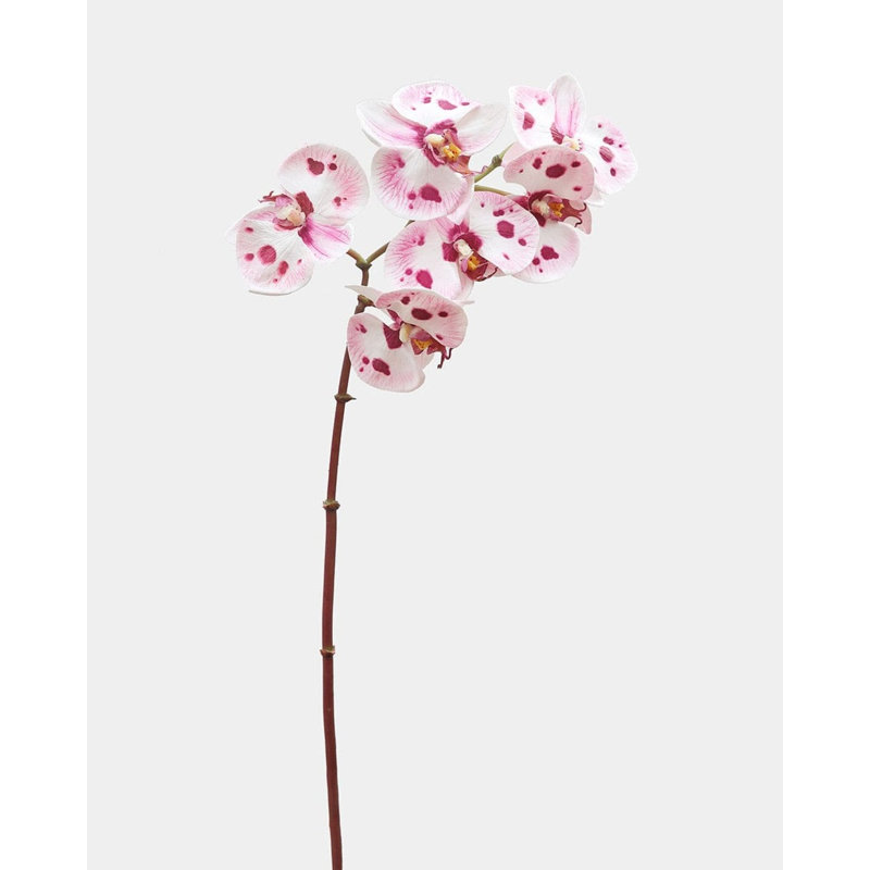 Pink Spotted Phalaenopsis Orchid 22”, White, 23" H x 3" W
