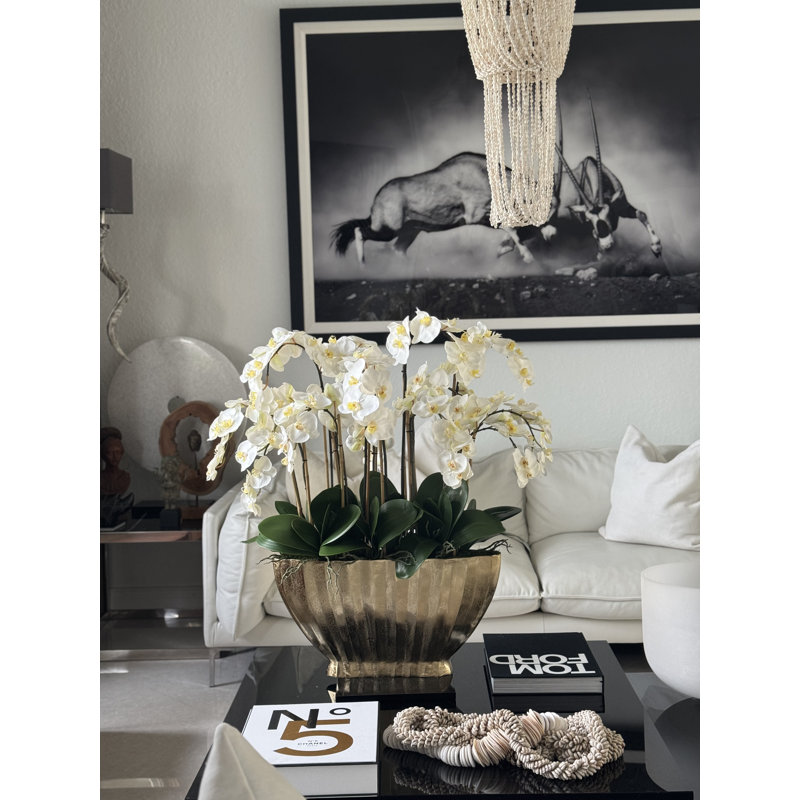 Vivien Gold Vase With Phaleanopsis Orchids, White