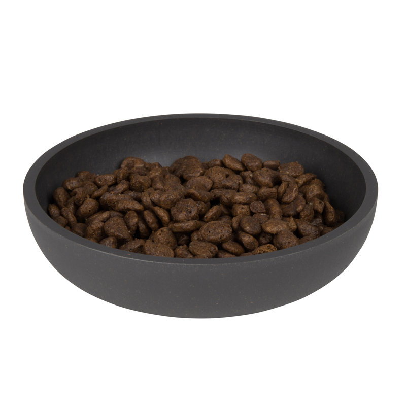 Pet Bowl, Black