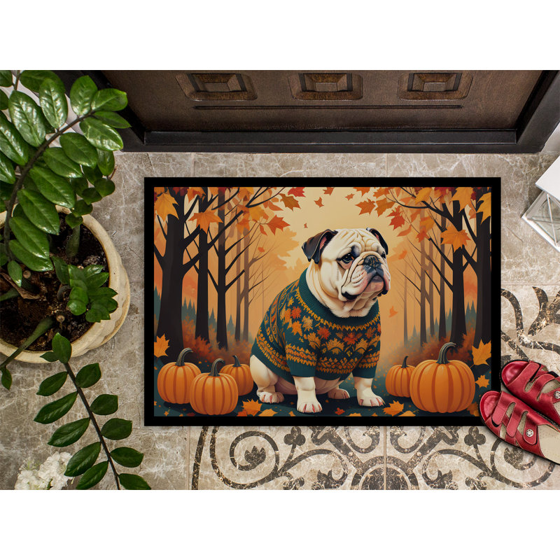 Chosposi Non-Slip Doormat, 18" W x 27" L