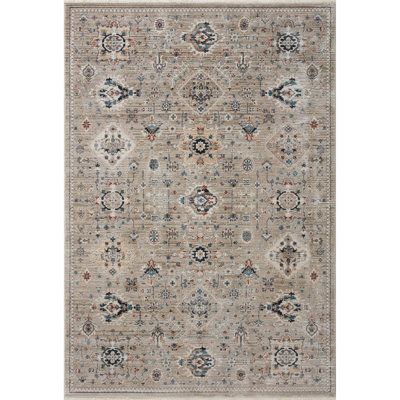 Tukhig Oriental Indoor Rug