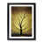 Black Framed selected