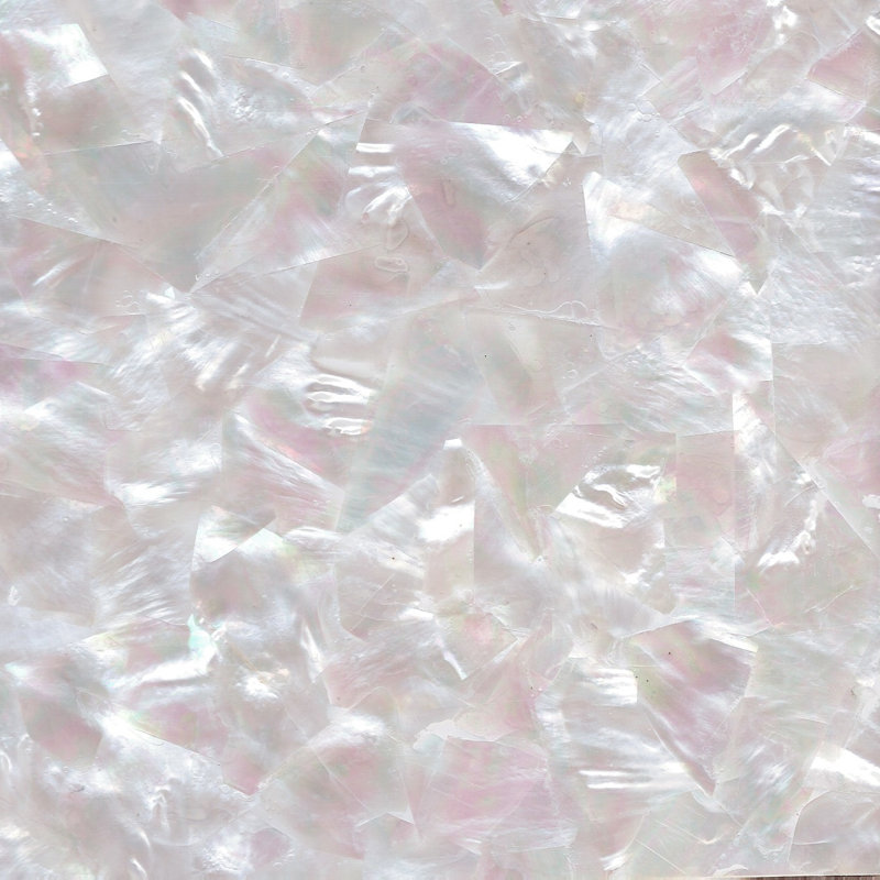 2" x 7.5" Authentic SeaShell Listello/Border Tile Mosaic in White Mother of Pearl