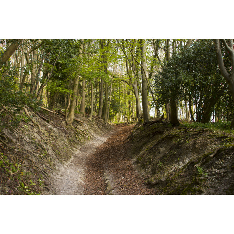 Chiltern Hills by Shinytastic - Wrapped Canvas Print, 30cm H x 46cm W